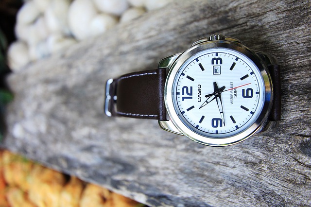 hodinky casio